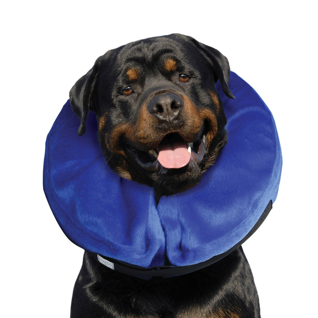 KONG® E-Collar Cloud® XL