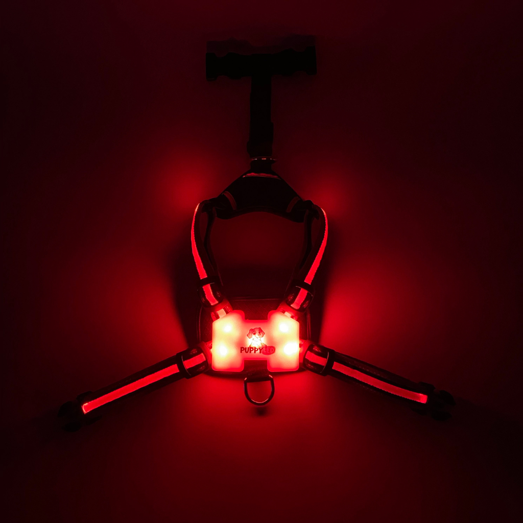 LED Dog Harness