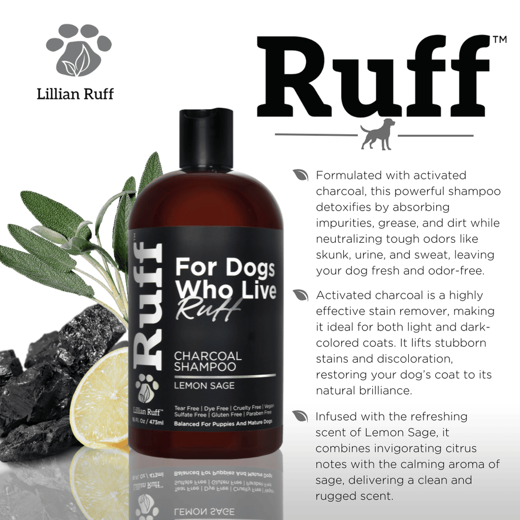 Activated Charcoal Clarifying Shampoo