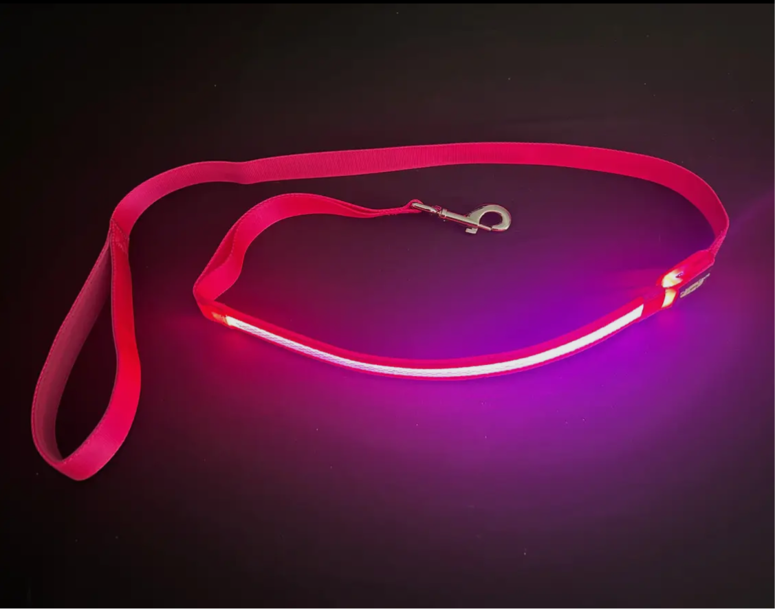 Light Up LED Dog Leash: Blue