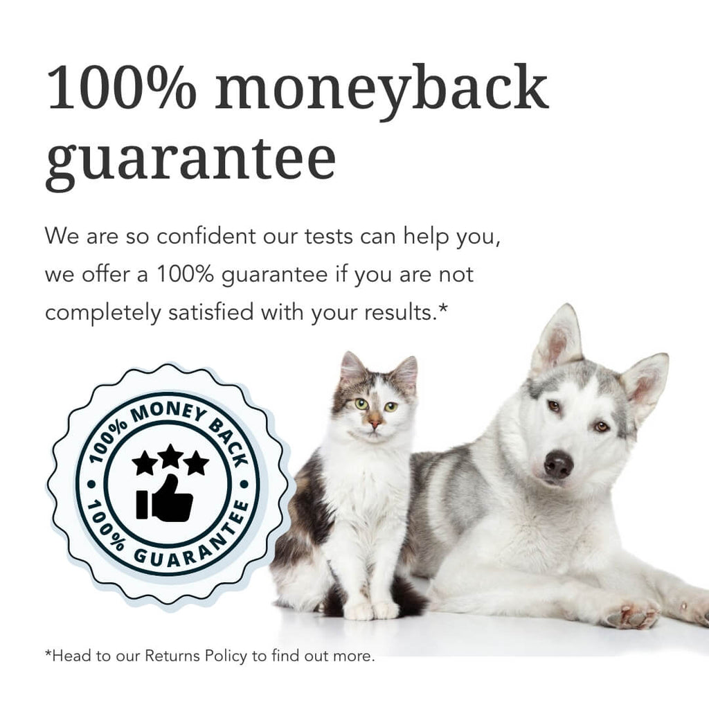 Basic Puppy & Kitten Intolerance Test
