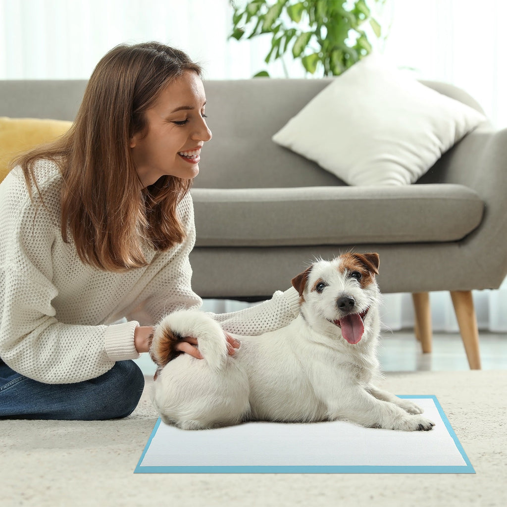 Dog and Puppy Pee Pads 24" x 17" (300 Counts) for Potty Training-Blue