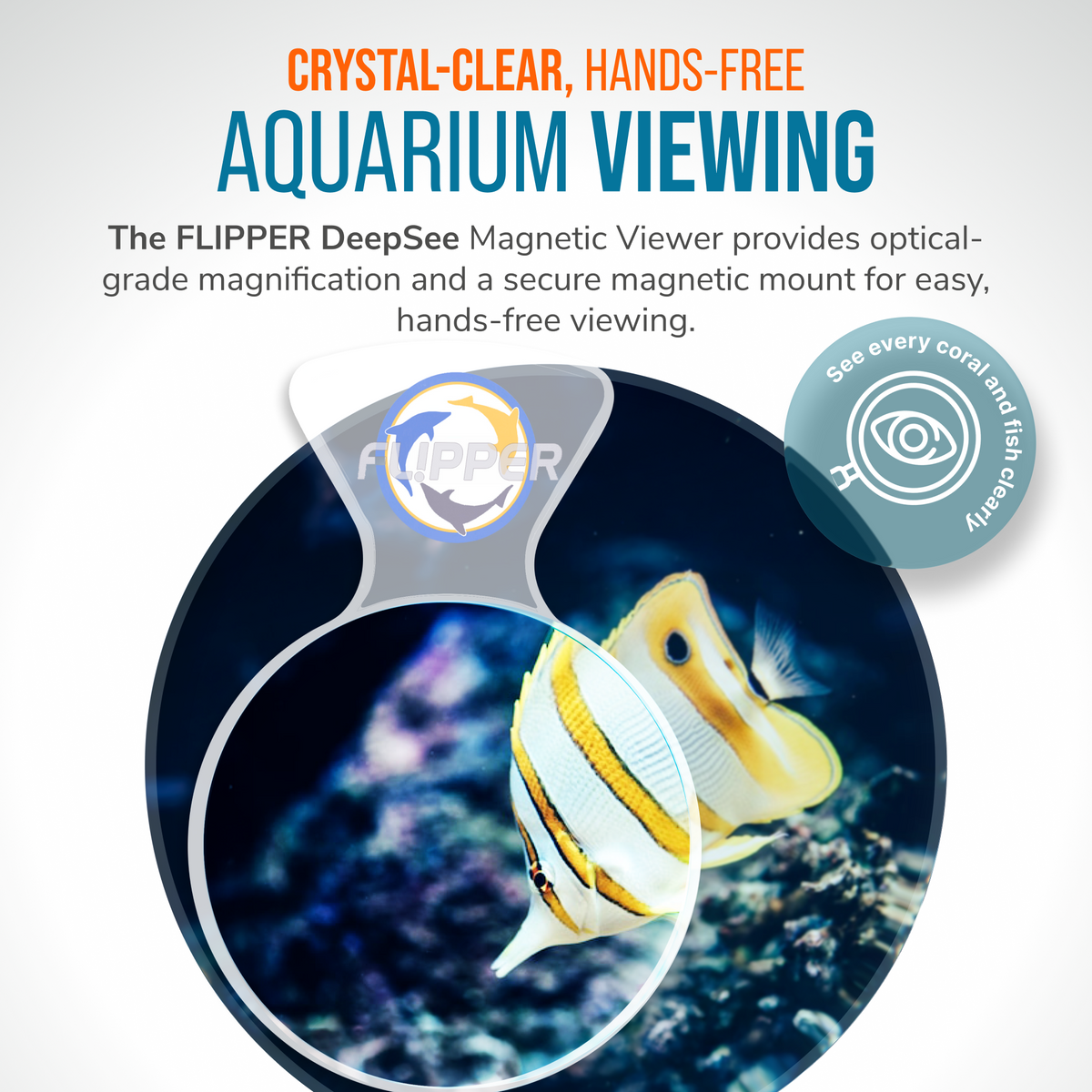 DeepSee Viewer Clear 4"