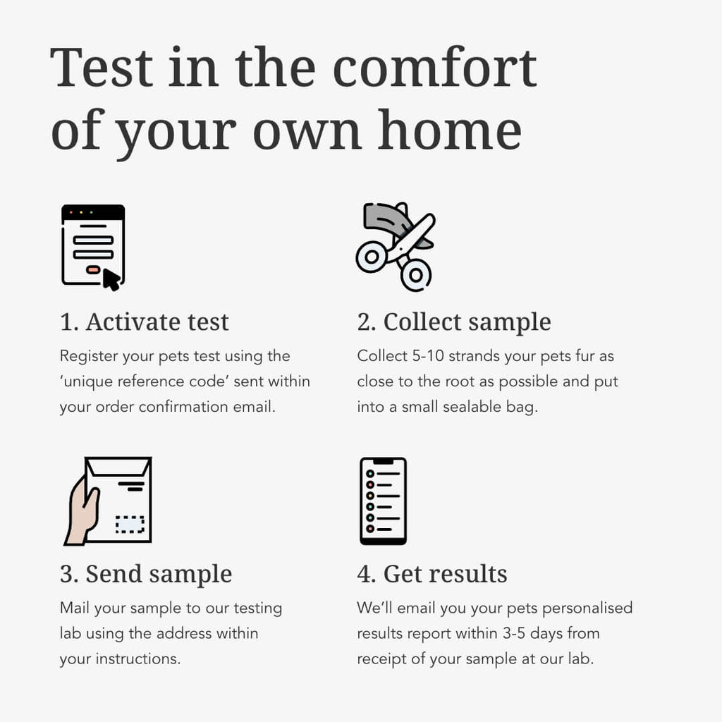 Advanced Dog Sensitivity Test