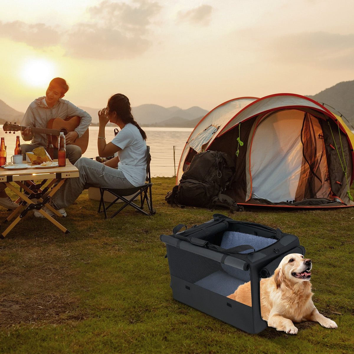 Portable Foldable Pet Carrying Bag with 2 Openings and Comfy Cushion-M
