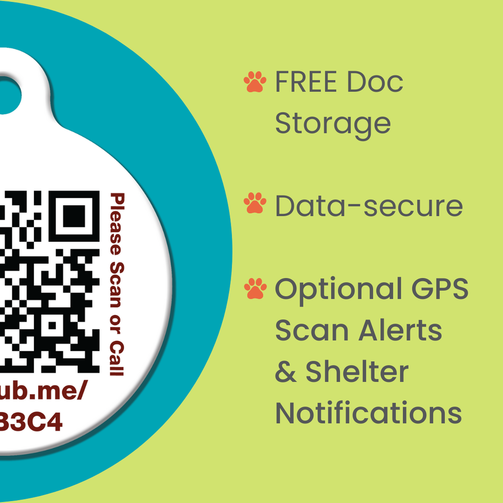 QR Pet Comprehensive Identification: Mini ReadyKit