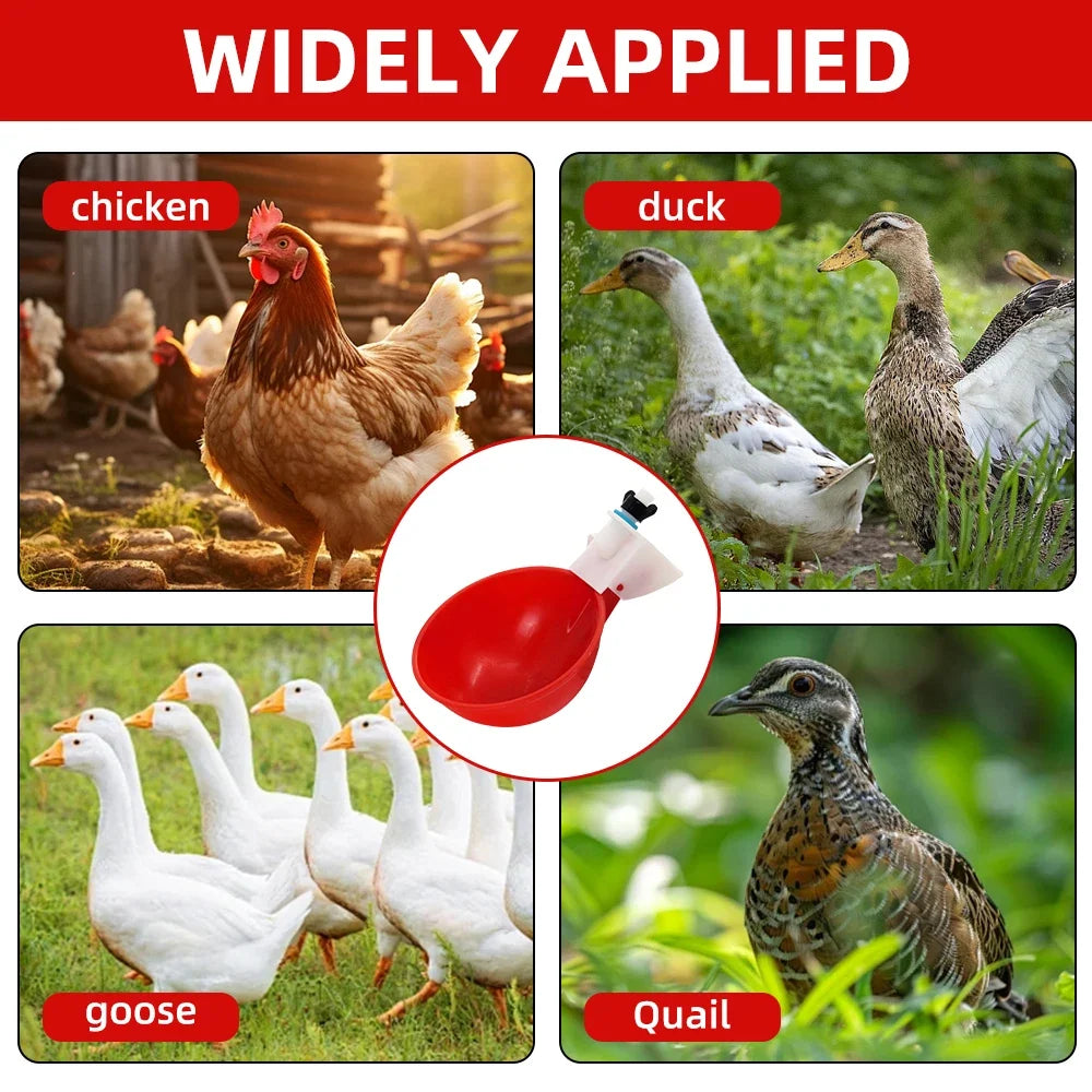 5-20Pcs Automatic Chicken Duck Drinking Cup Drinker Larger Chicken Feeder Plastic Poultry Farm Water Dispenser Quail Supply