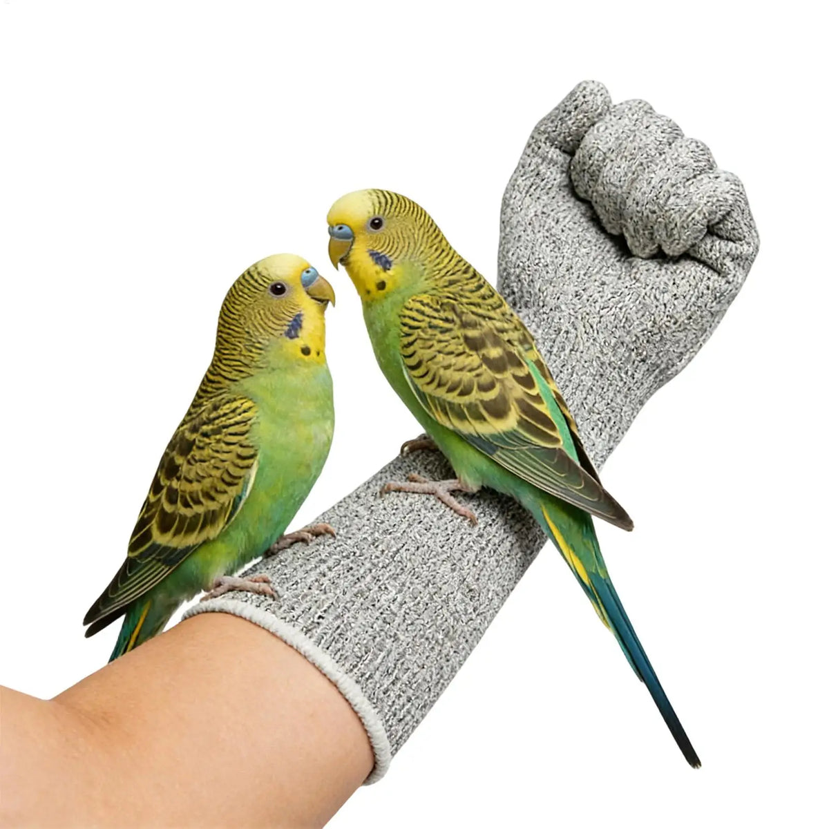 Pet Gloves Bite-resistant Hand Protection Gloves Scratch Resistant Bite Proof Multipurpose Glove For Birds Hamsters Cat Grooming