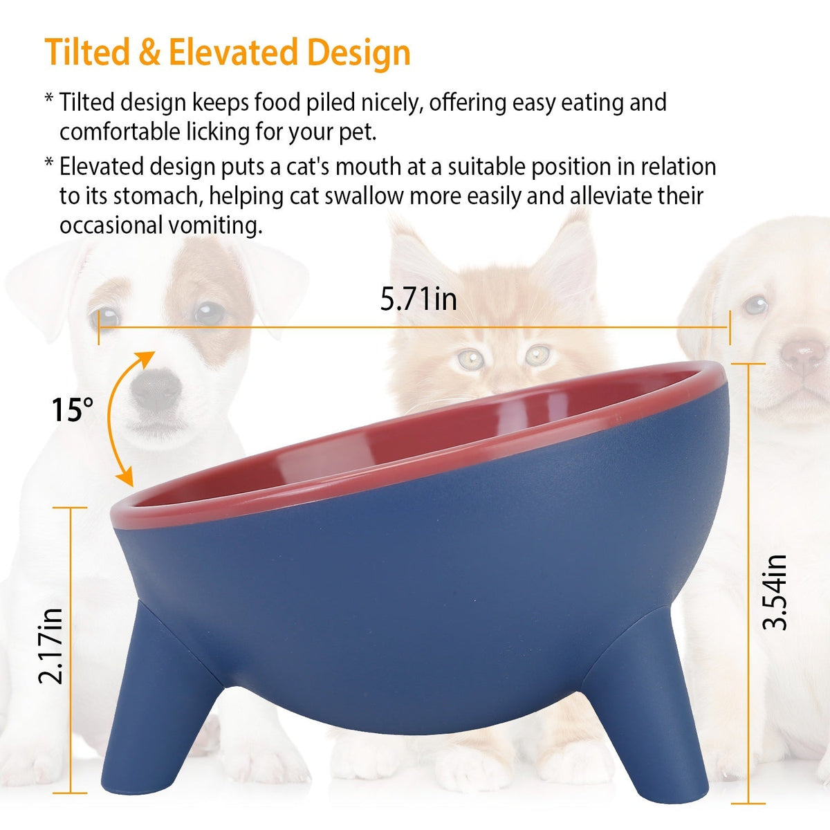 Raised Tilted Elevated Cat Food Bowl Pet Backflow Prevention Water Dish Feeding Bowl for Cats Small Dogs