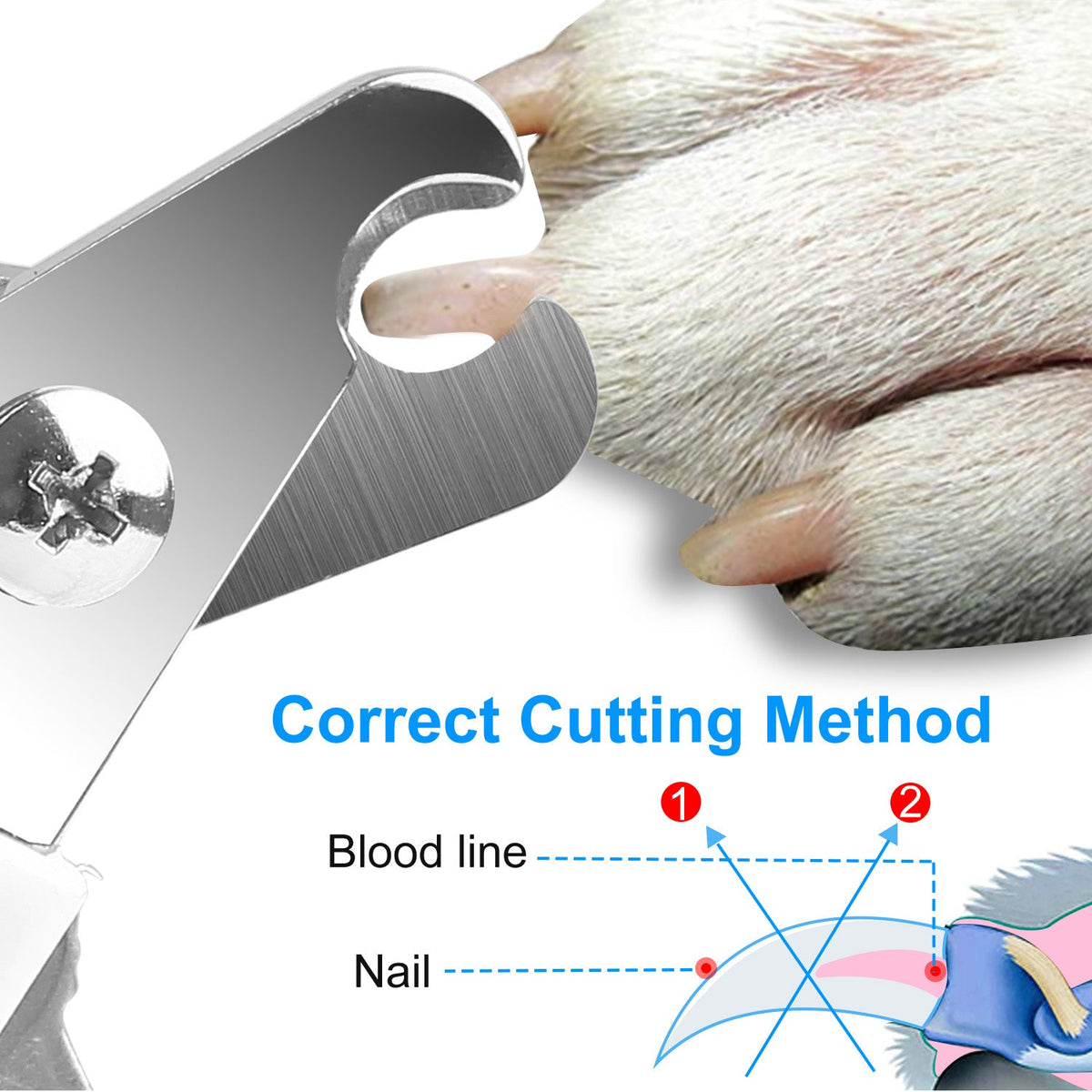 Dog Nail Clippers Pet Cat Nail Toe Trimmer Stainless Steel Grooming Tool Free Nail File Small Medium Large Dogs