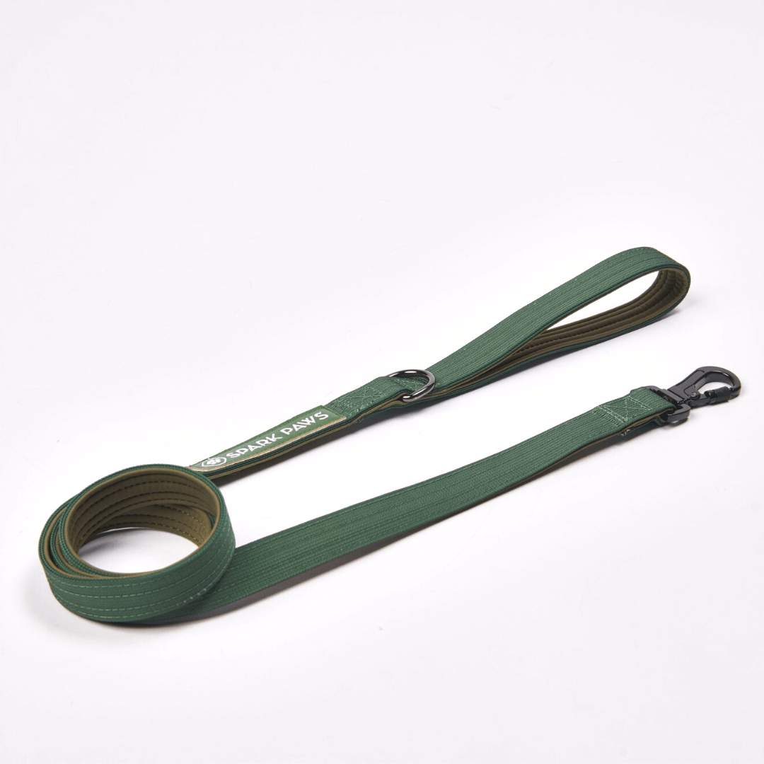 Comfort Control Dog Leash - Green: OS