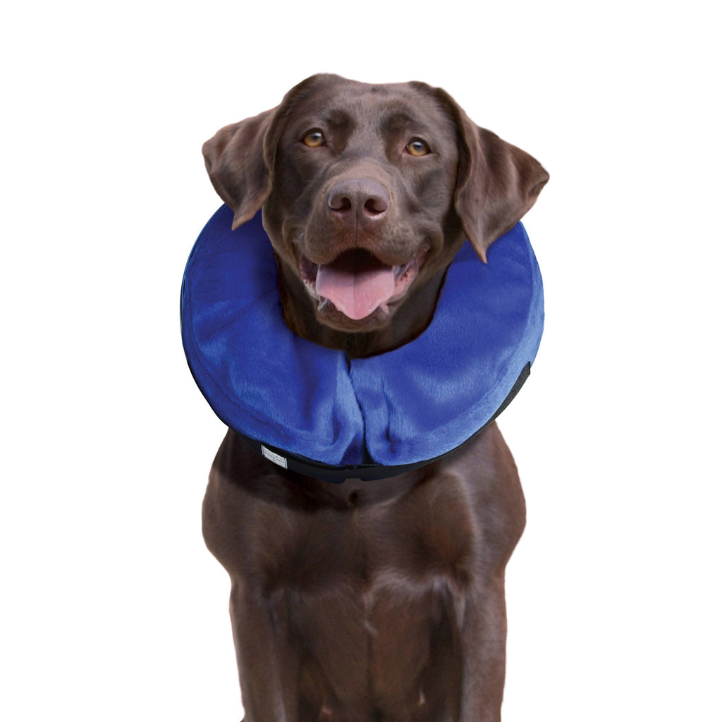 KONG® E-Collar Cloud® Large