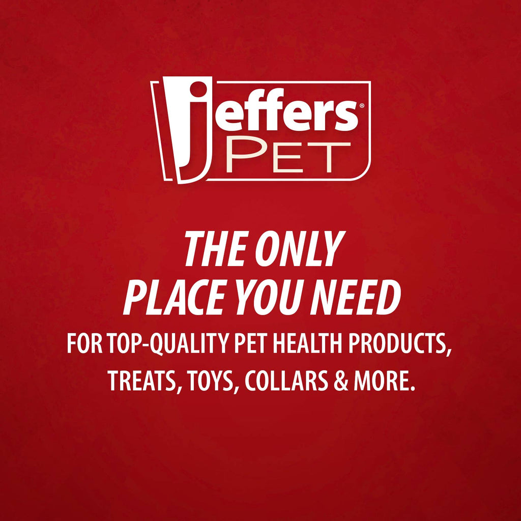 Jeffers Red Orbits Ball Natural Rubber Dental Treat Dispensing Dog Chew Toy
