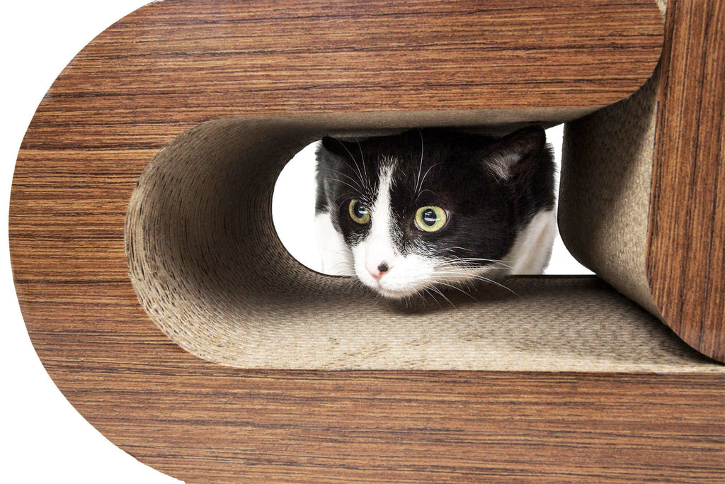 Pet Life ® 2-In-1 'Pill Shaped' Premium Quality Modular Kitty Cat Scratcher Lounger Lounge with Catnip