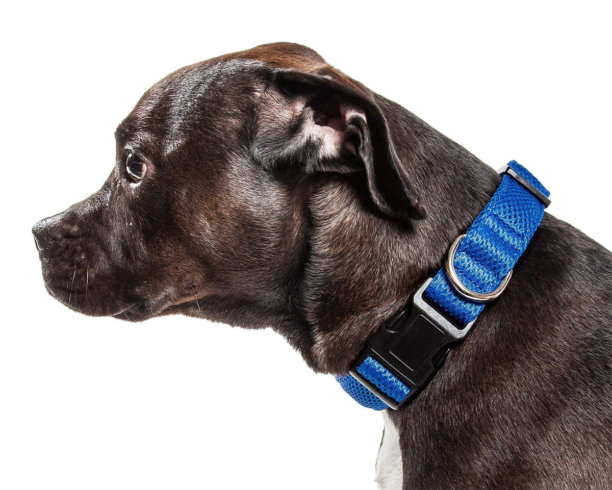 Pet Life ®  'Aero Mesh' Dual-Sided Breathable and Adjustable Thick Mesh Dog Collar