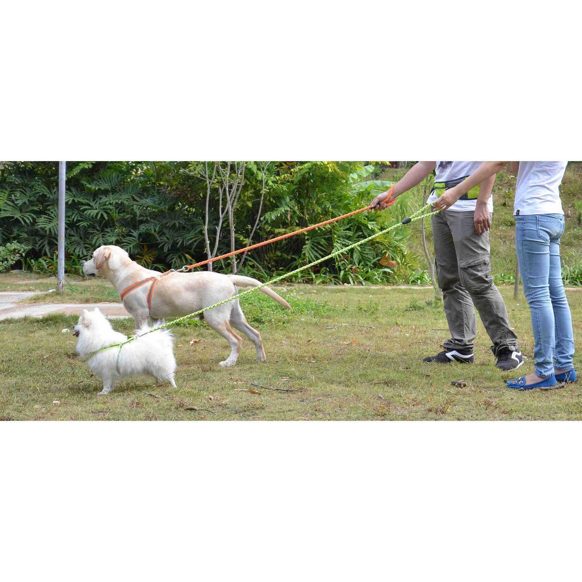 Pet Life ® 'Easy Tension' Reflective Stitched Adjustable 2-in-1 Pet Dog Leash and Harness