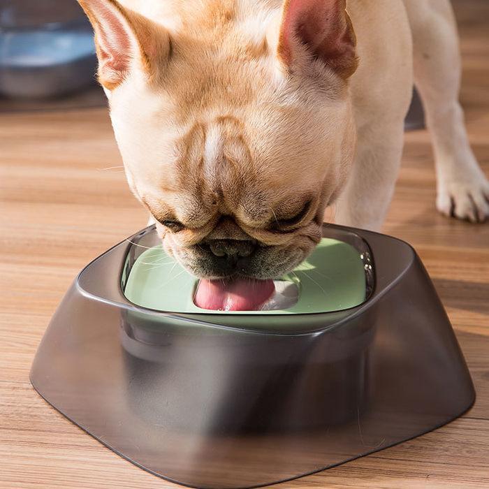 Pet Life ® 'Hydritate' Anti-Puddle Cat and Dog Drinking Water Bowl