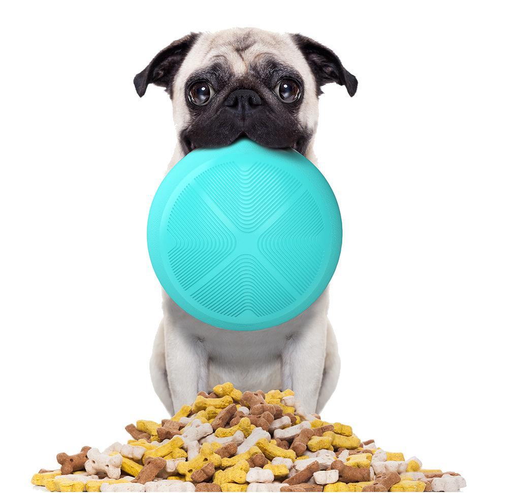 Pet Life ® 'Tumbowl' Slow Feeding Pet Bowl